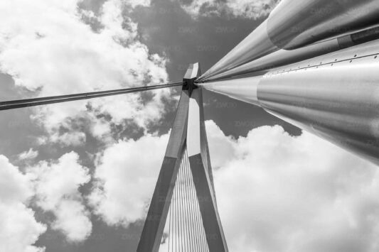 Rotterdam Foto - De Erasmusbrug - De zwaan brengt ons in de wolken- Zwart Wit Foto 010