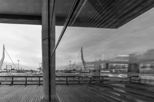 De Zwaan in het raam - Erasmusbrug foto Rotterdam