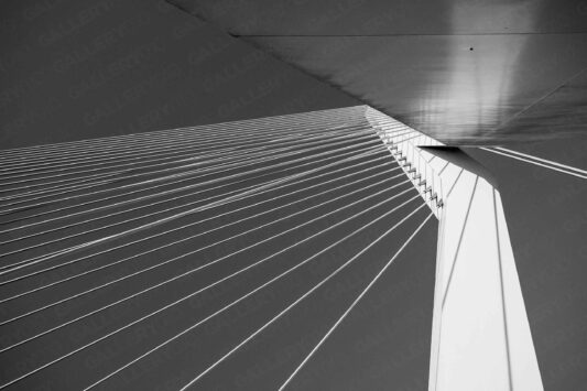 Zwaan - Gallery010: Rond de 70’s | Van Rotterdam tot New York