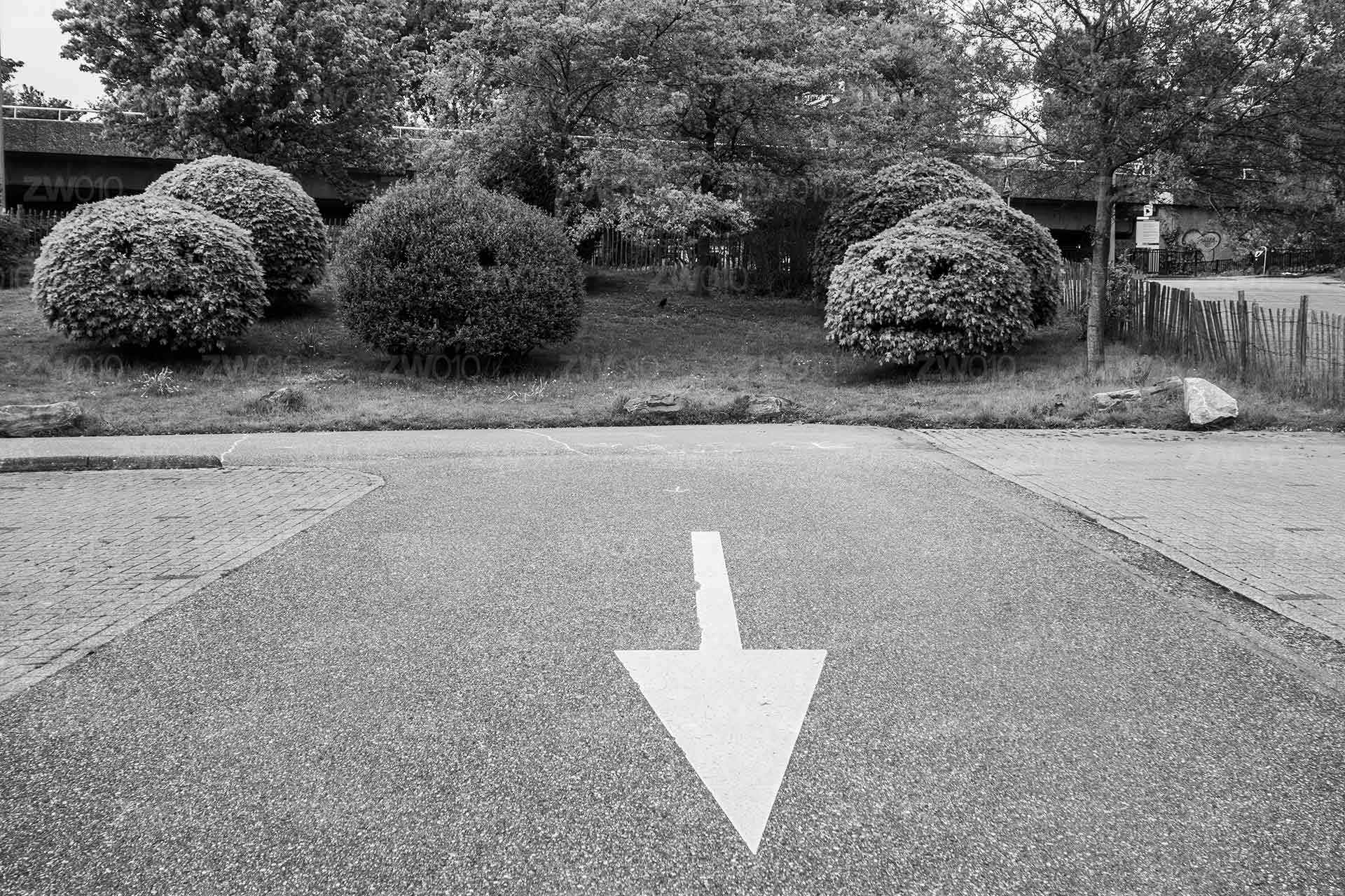 In de goede richting - Diergaarde Blijdorp Parkeerplaats In de goede richting - Diergaarde Blijdorp Parkeerplaats