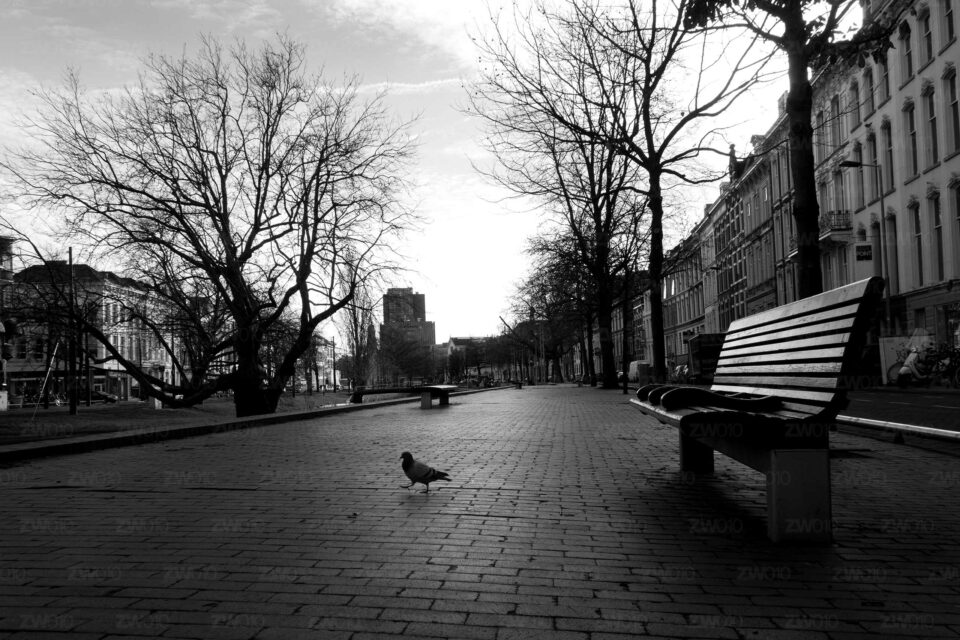 Rotterdam zwart wit foto van ©ZwartWit010. Westersingel
