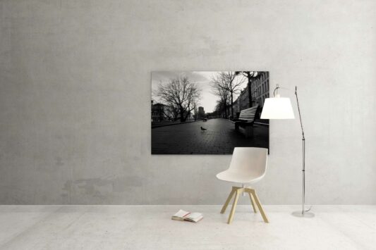 Rotterdam zwart wit foto van ©ZwartWit010. Westersingel