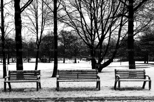Rotterdam zwart wit foto van ©ZwartWit010. Euromastpark Sneeuw